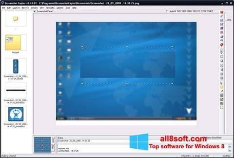Skjermbilde ScreenShot Windows 8