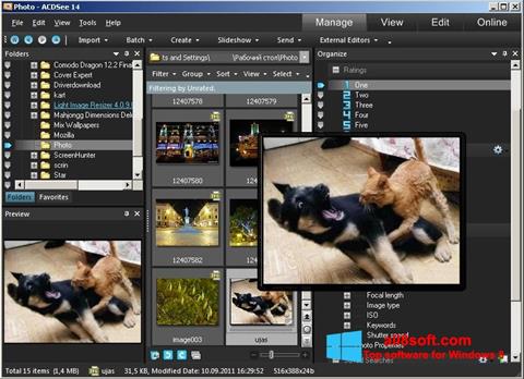 Skjermbilde ACDSee Photo Manager Windows 8