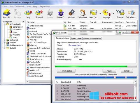 Skjermbilde Internet Download Manager Windows 8