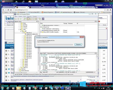 Skjermbilde DMDE Windows 8