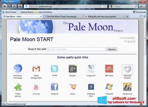 Skjermbilde Pale Moon Windows 8