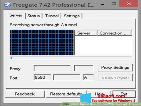 Skjermbilde Freegate Windows 8