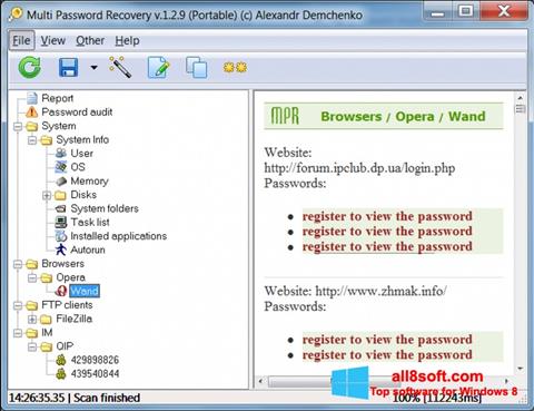 Skjermbilde Multi Password Recovery Windows 8