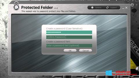 Skjermbilde Protected Folder Windows 8
