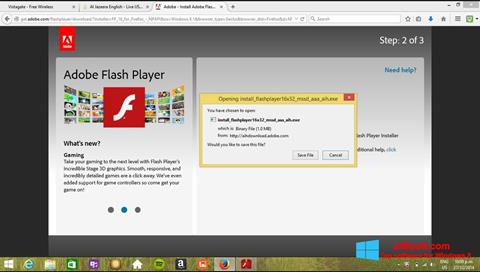 Skjermbilde Adobe Flash Player Windows 8